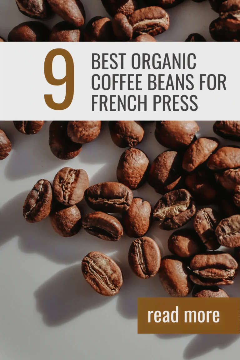 9 Best Organic Coffee Beans for French Press: Pure and Flavorful