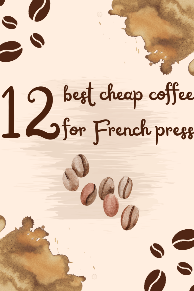 Best cheap coffee for French press: 12 Budget-friendly options