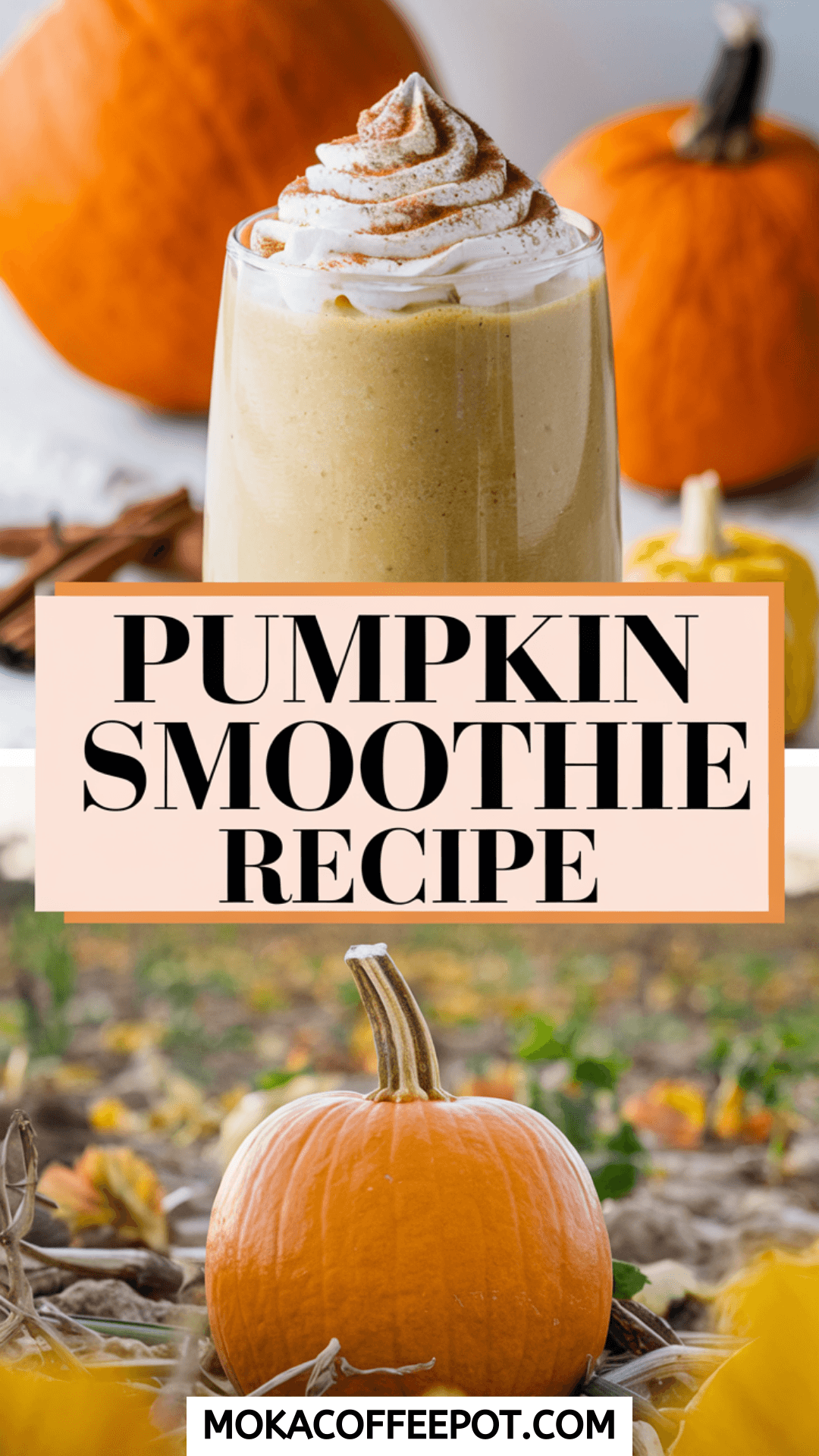 Pumpkin Smoothie Recipe Pumpkin Smoothie Recipe